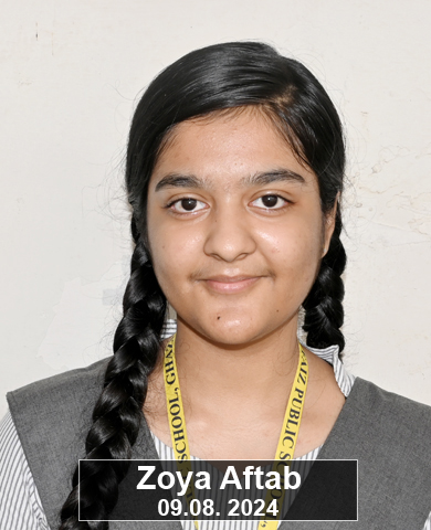 Zoya Aftab
